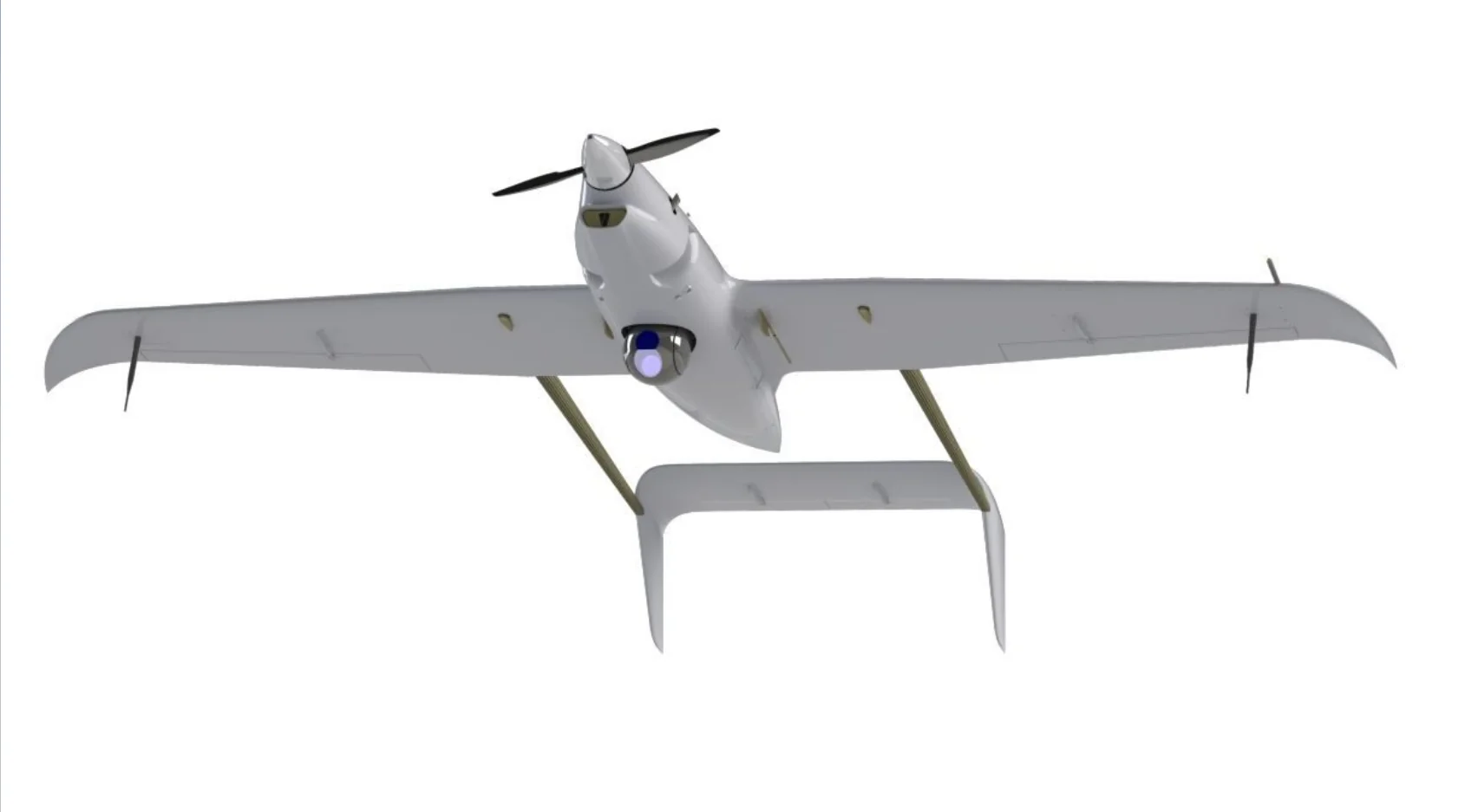 Skyton Raybird-3  